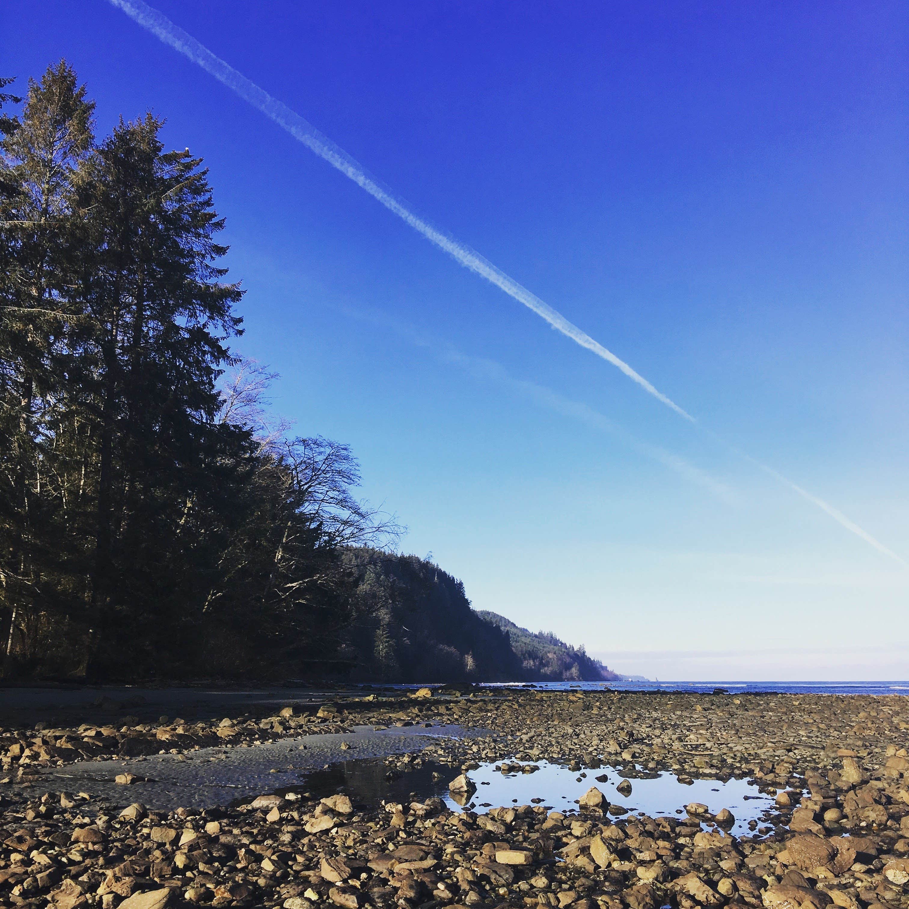 Camper-submitted photo at Shi Shi Beach — Olympic National Park near Forks, WA