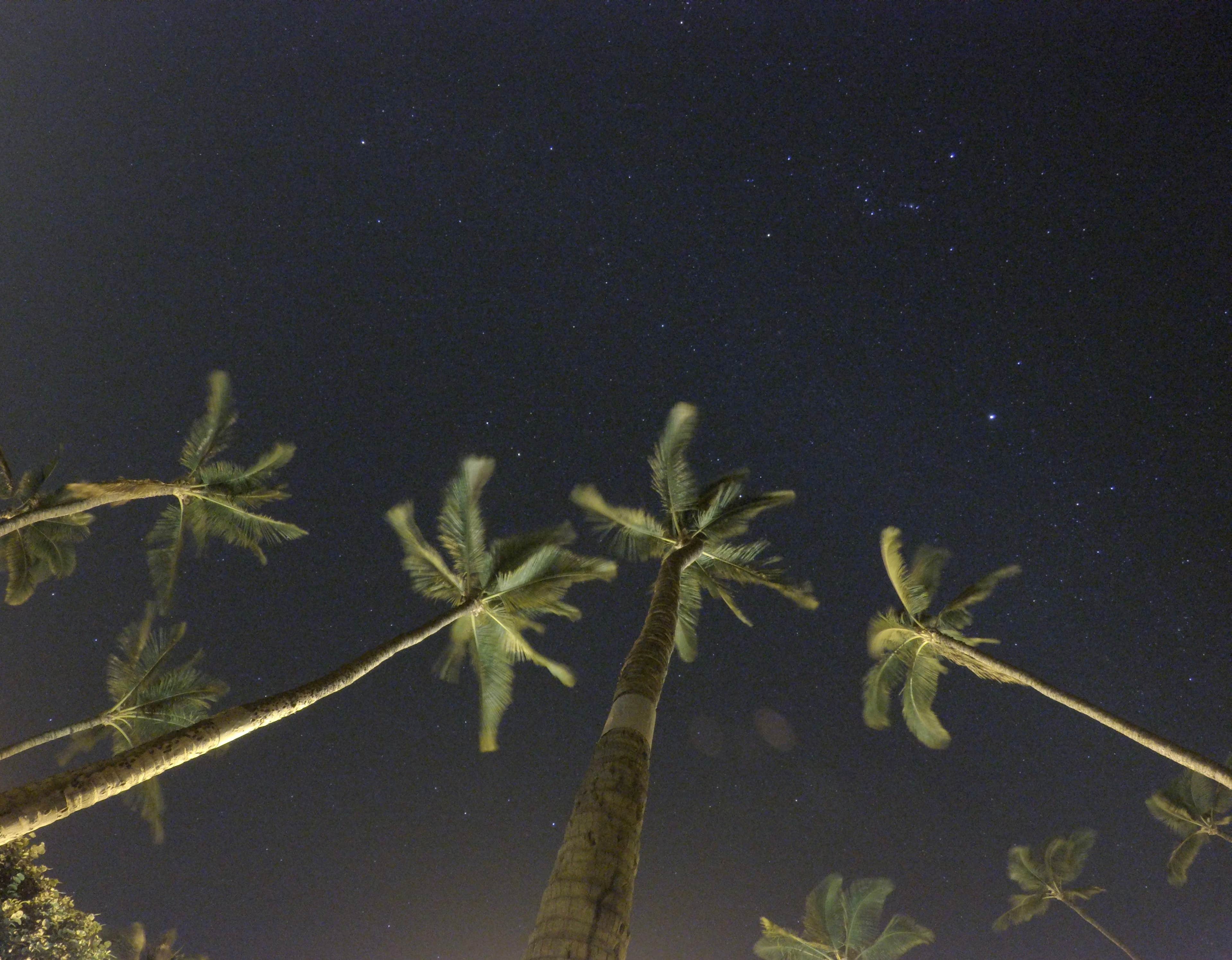 Camper-submitted photo at Tip O' Texas RV Resort near Mission, TX