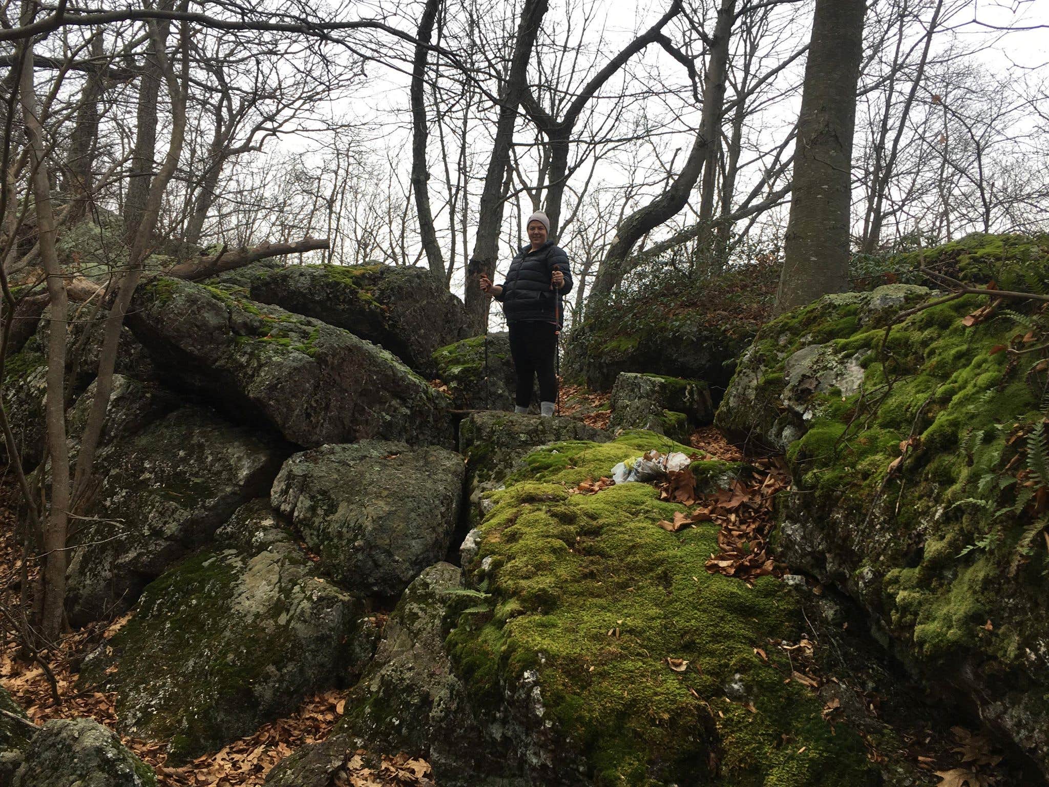 Camper-submitted photo at Wawayanda State Park Campground near Sloatsburg, NY