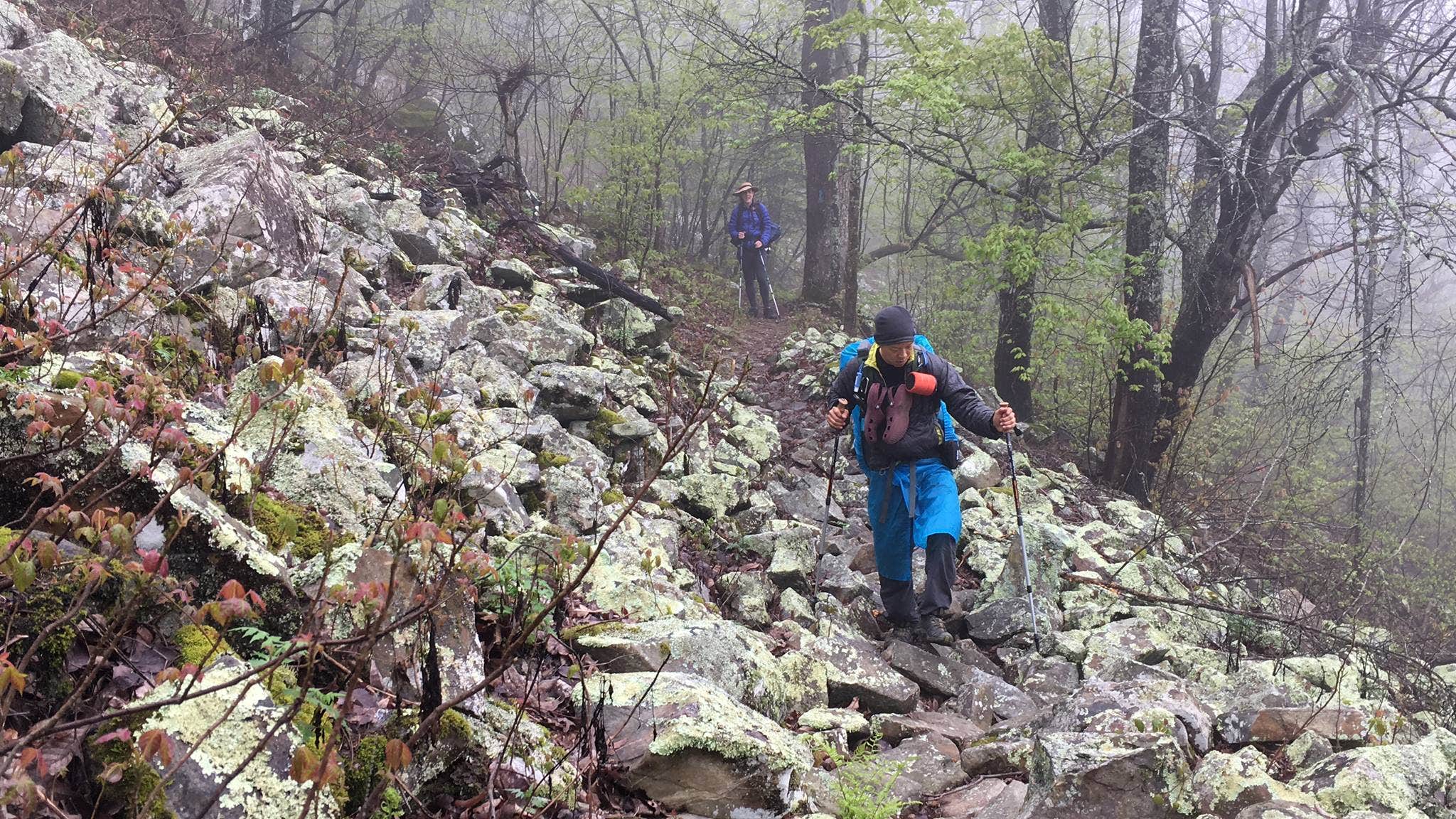 Camper-submitted photo at Holson Valley Vista near Mansfield, AR