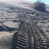 Review photo of Moses Lake Mud Flats and Sand Dunes by Dani H., June 26, 2018