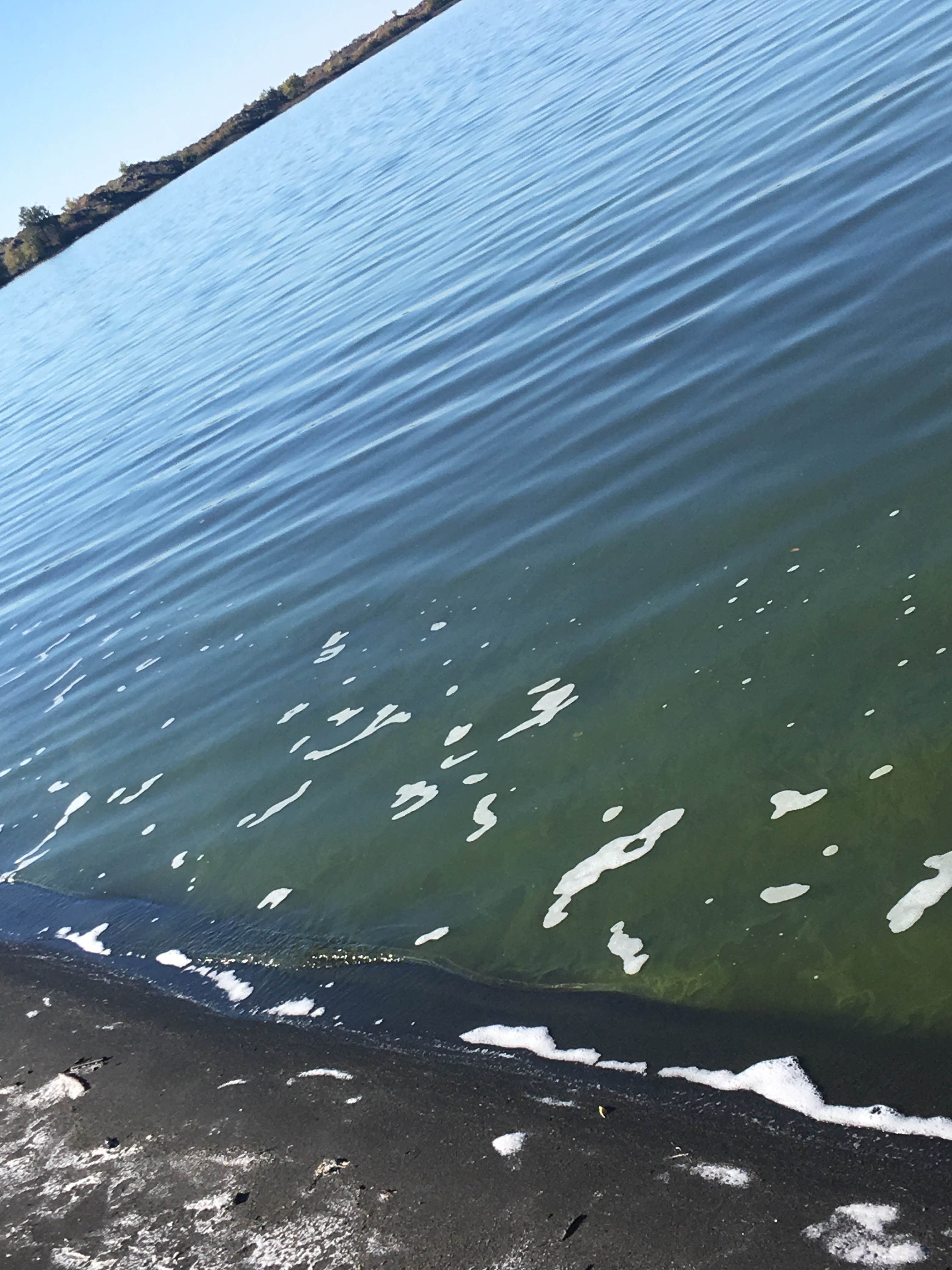 Camper-submitted photo at Moses Lake Mud Flats and Sand Dunes near Moses Lake, WA