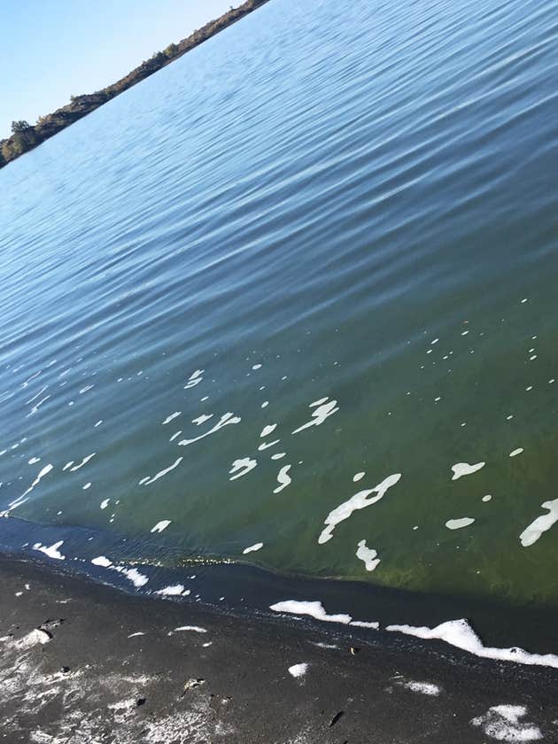Moses Lake Mud Flats and Sand Dunes Camping The Dyrt