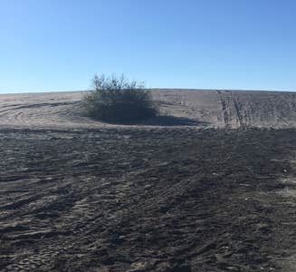 Camper-submitted photo from Moses Lake Mud Flats and Sand Dunes