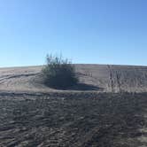 Review photo of Moses Lake Mud Flats and Sand Dunes by Dani H., June 26, 2018