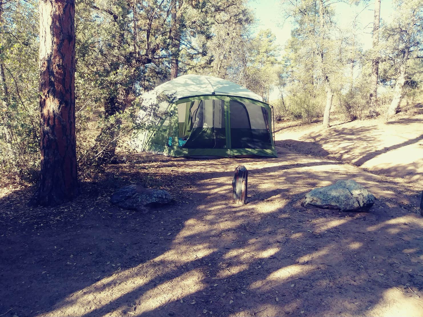 Powell Springs Campground Prescott National Forest The Dyrt
