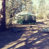 Review photo of Powell Springs Campground - Prescott National Forest by Kim M., June 26, 2018