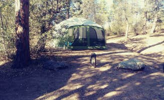 Kim M.'s photo at Powell Springs Campground - Prescott National Forest near Cordes Junction, AZ