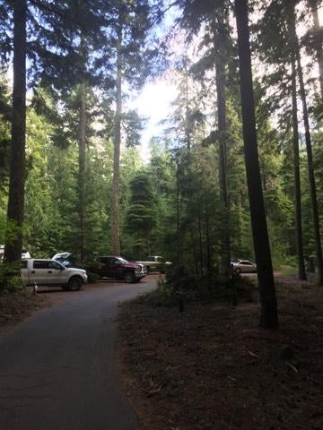 Camper submitted image from Adams Fork Campground - 2