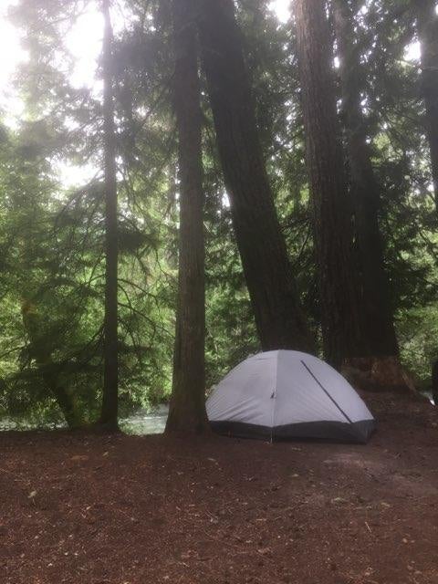 Camper submitted image from Adams Fork Campground - 4