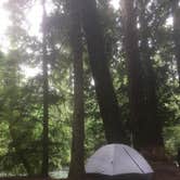 Review photo of Adams Fork Campground by Ashley B., June 26, 2018