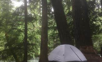 Ashley B.'s photo at Adams Fork Campground near Gifford Pinchot National Forest