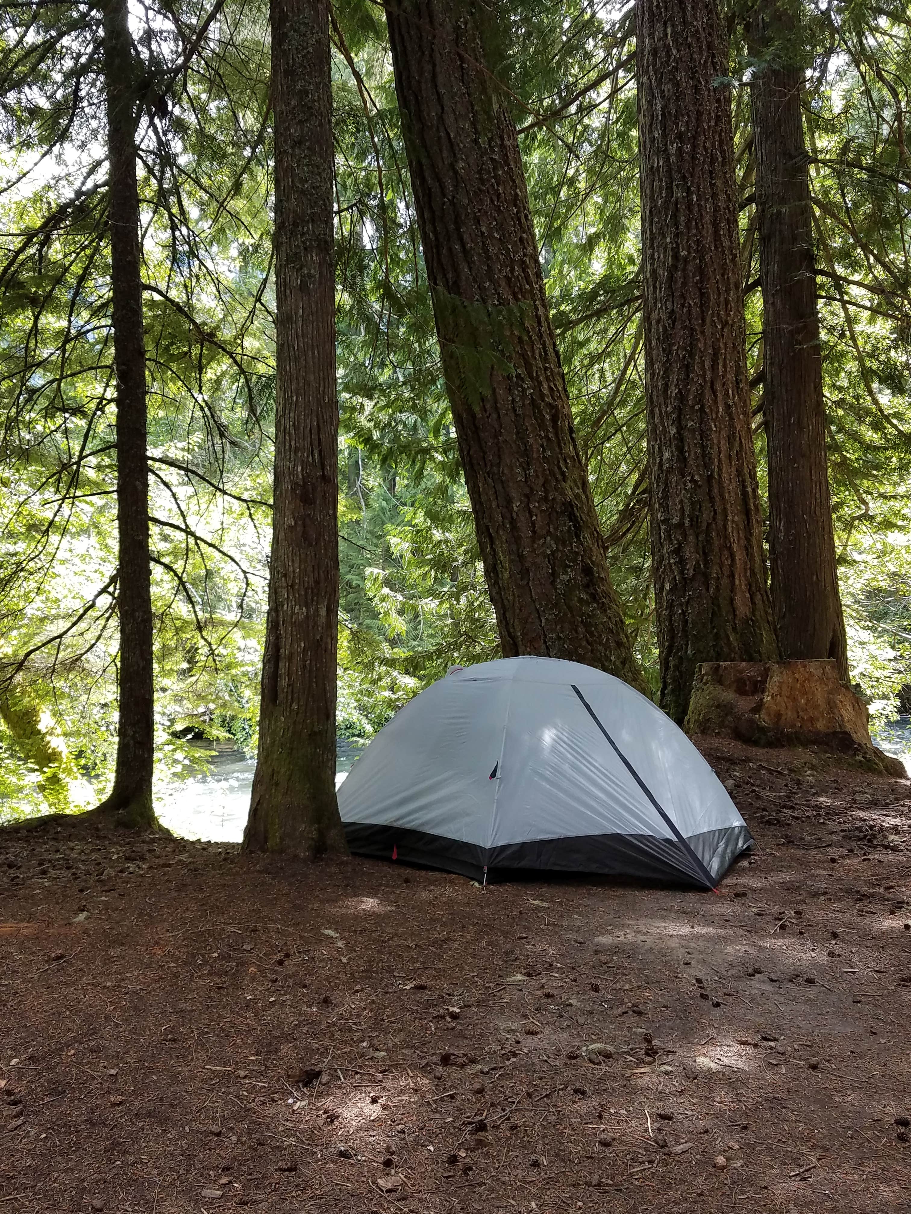 Ashley B.'s photo at Adams Fork Campground near Gifford Pinchot National Forest