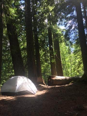 Ashley B.'s photo at Adams Fork Campground near Gifford Pinchot National Forest