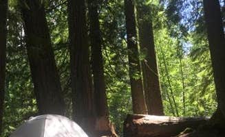Ashley B.'s photo at Adams Fork Campground near Gifford Pinchot National Forest
