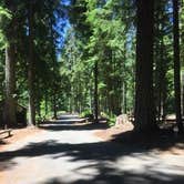 Review photo of Adams Fork Campground by Ashley B., June 26, 2018