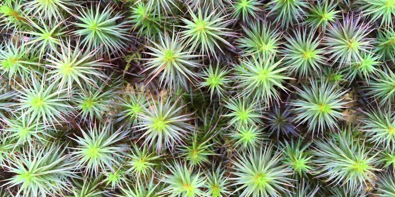 Camper submitted image from Holson Valley Vista