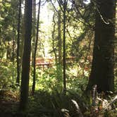 Review photo of Sequim Bay State Park Campground by Dani H., June 26, 2018