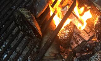 Dani H.'s photo at Sequim Bay State Park Campground near Quilcene, WA