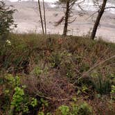 Review photo of Beach Campground — Fort Worden Historical State Park by Dani H., June 26, 2018