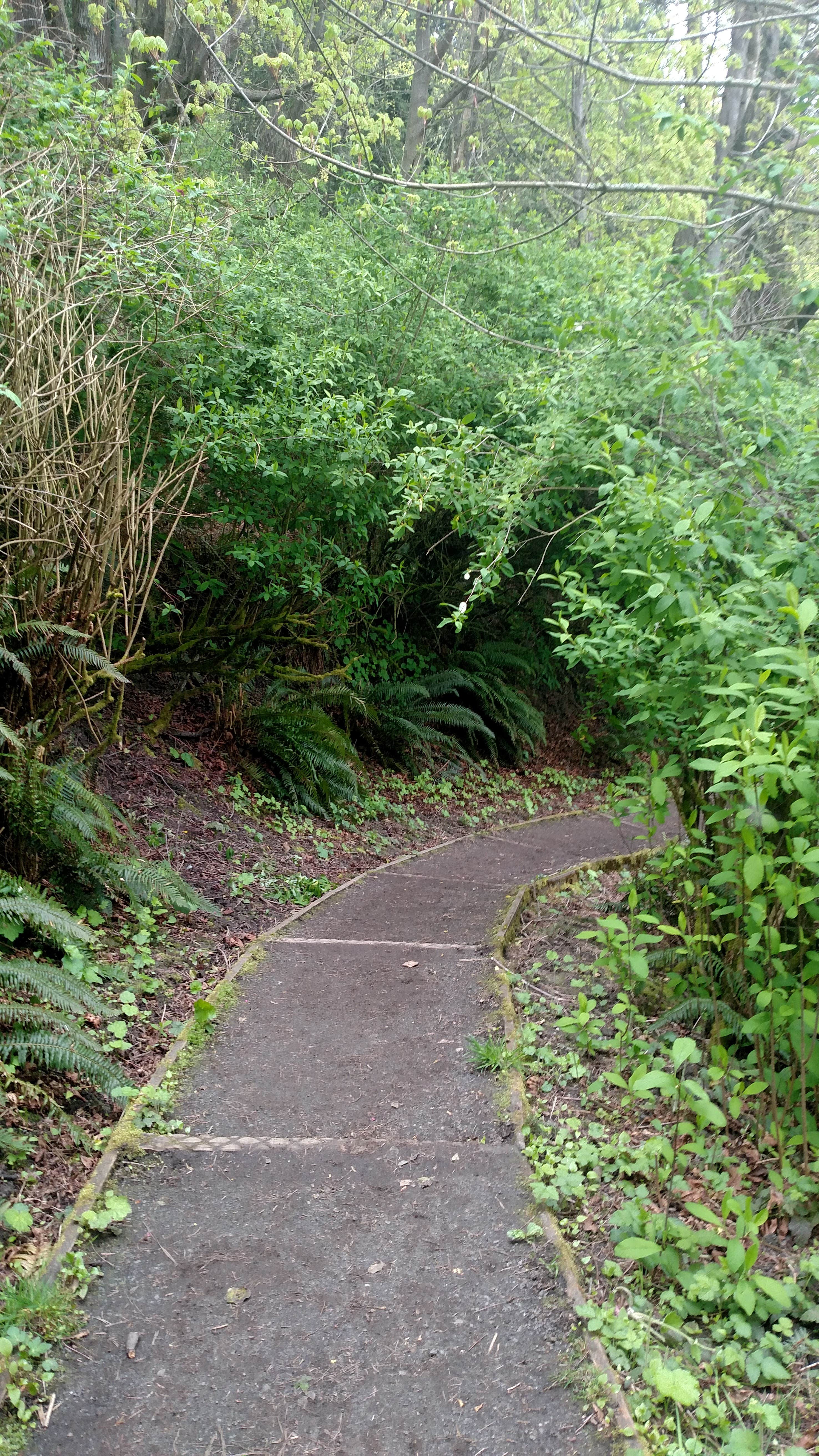 Camper-submitted photo at Beach Campground — Fort Worden Historical State Park near Marysville, WA