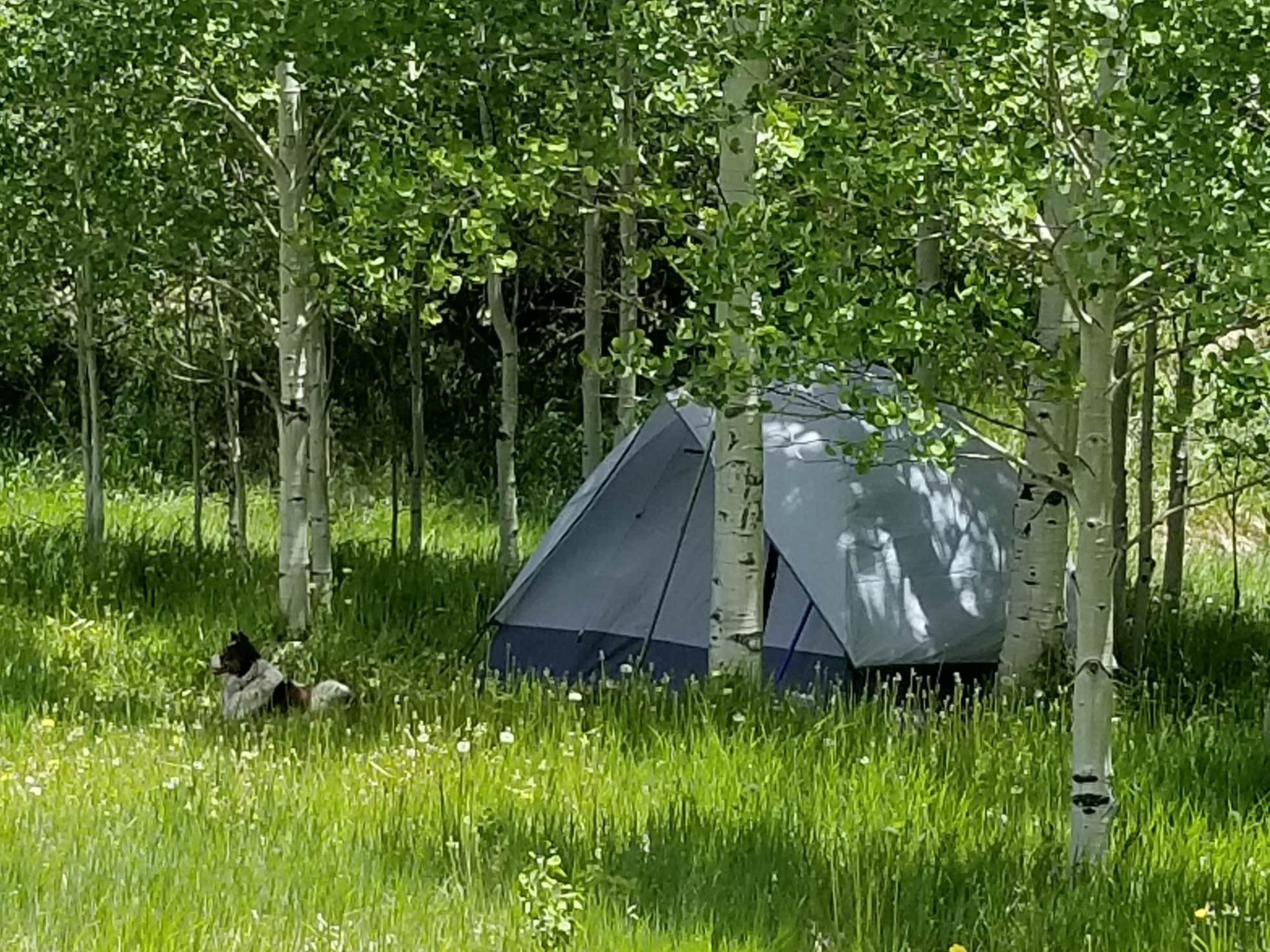 Camper submitted image from Little Maud Campground - 3