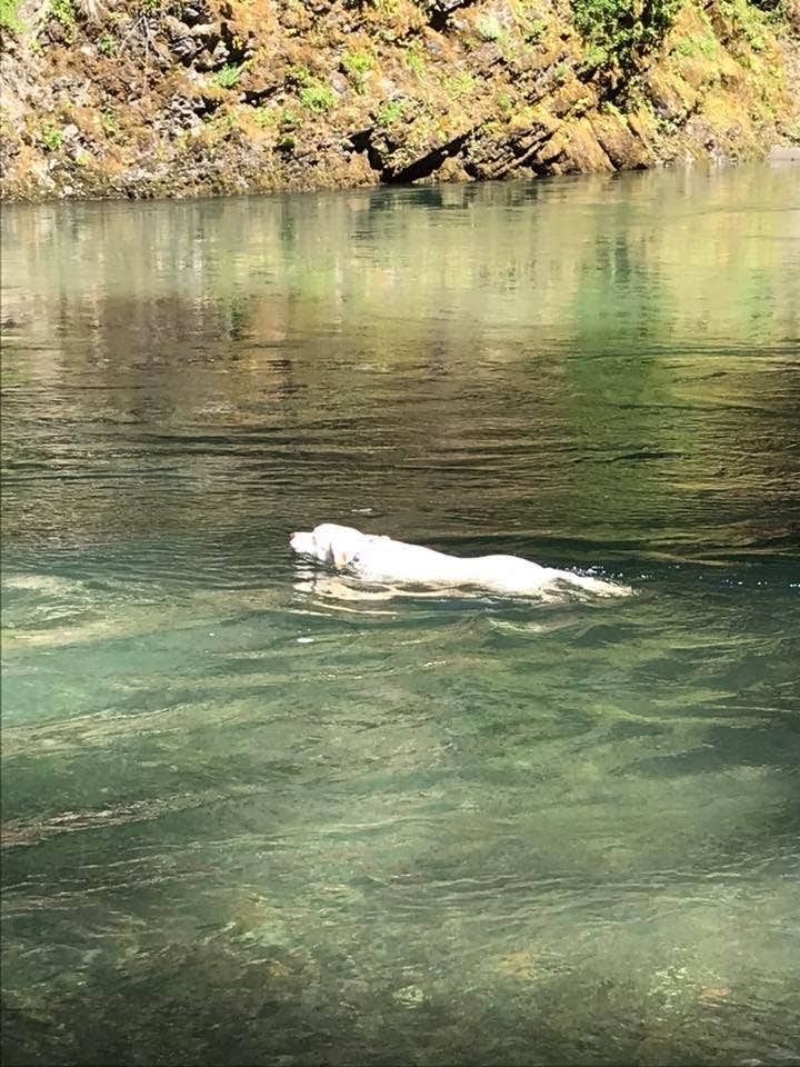 Camper-submitted photo at Soda Springs near White Pass, WA