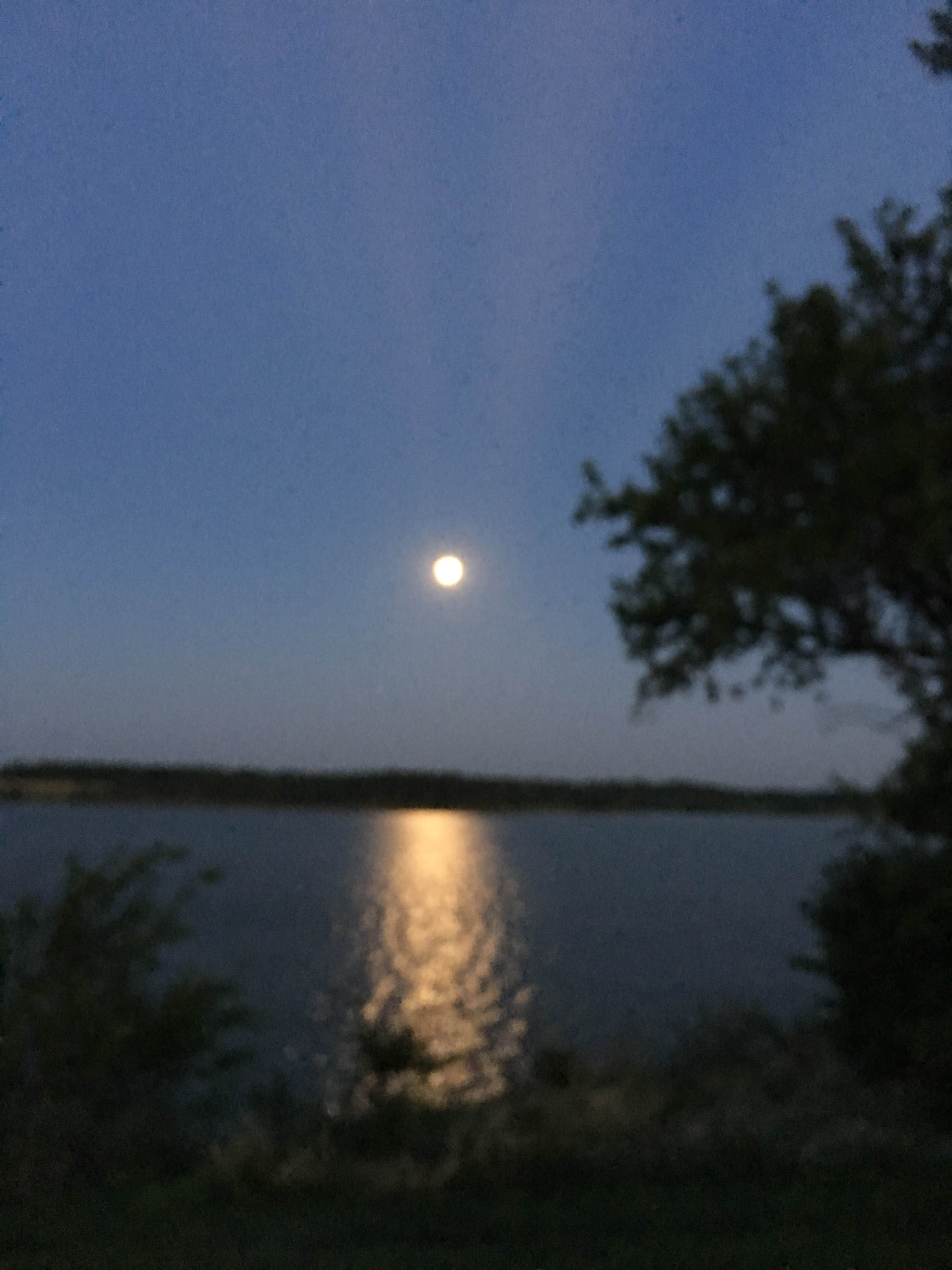 Camper-submitted photo at COE Milford Lake Curtis Creek Park near Milford Lake