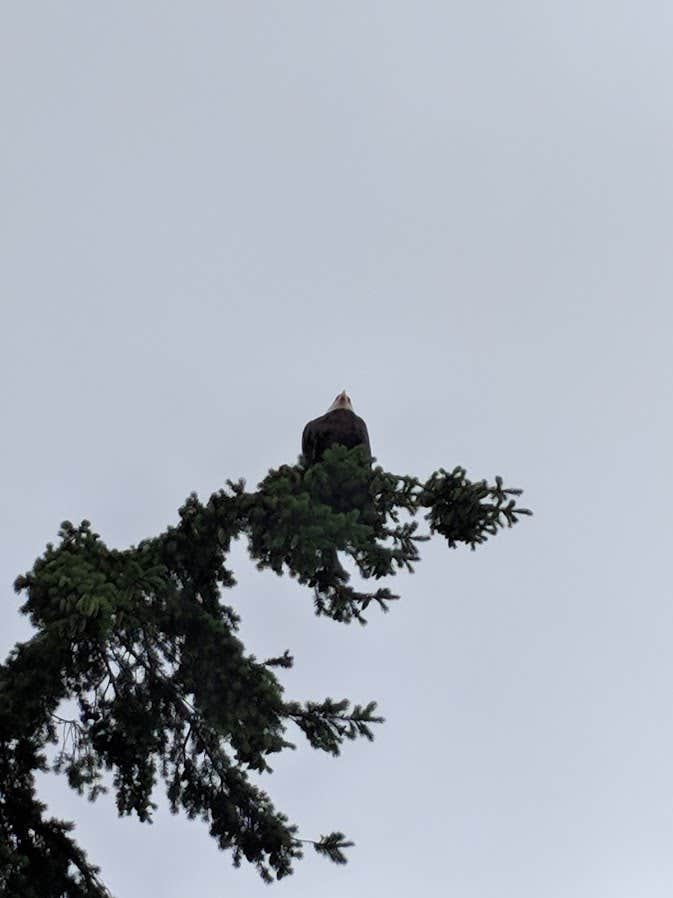 Camper-submitted photo at Scenic Beach State Park Campground near Port Orchard, WA