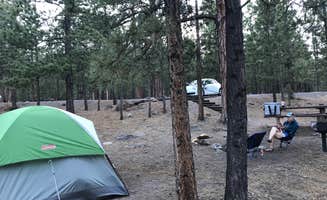 Marlin B.'s photo at Lower Pleasant Creek Campground near Boulder, UT