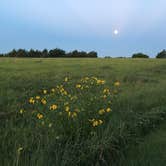Review photo of COE Milford Lake Curtis Creek Park by Pam G., July 20, 2016