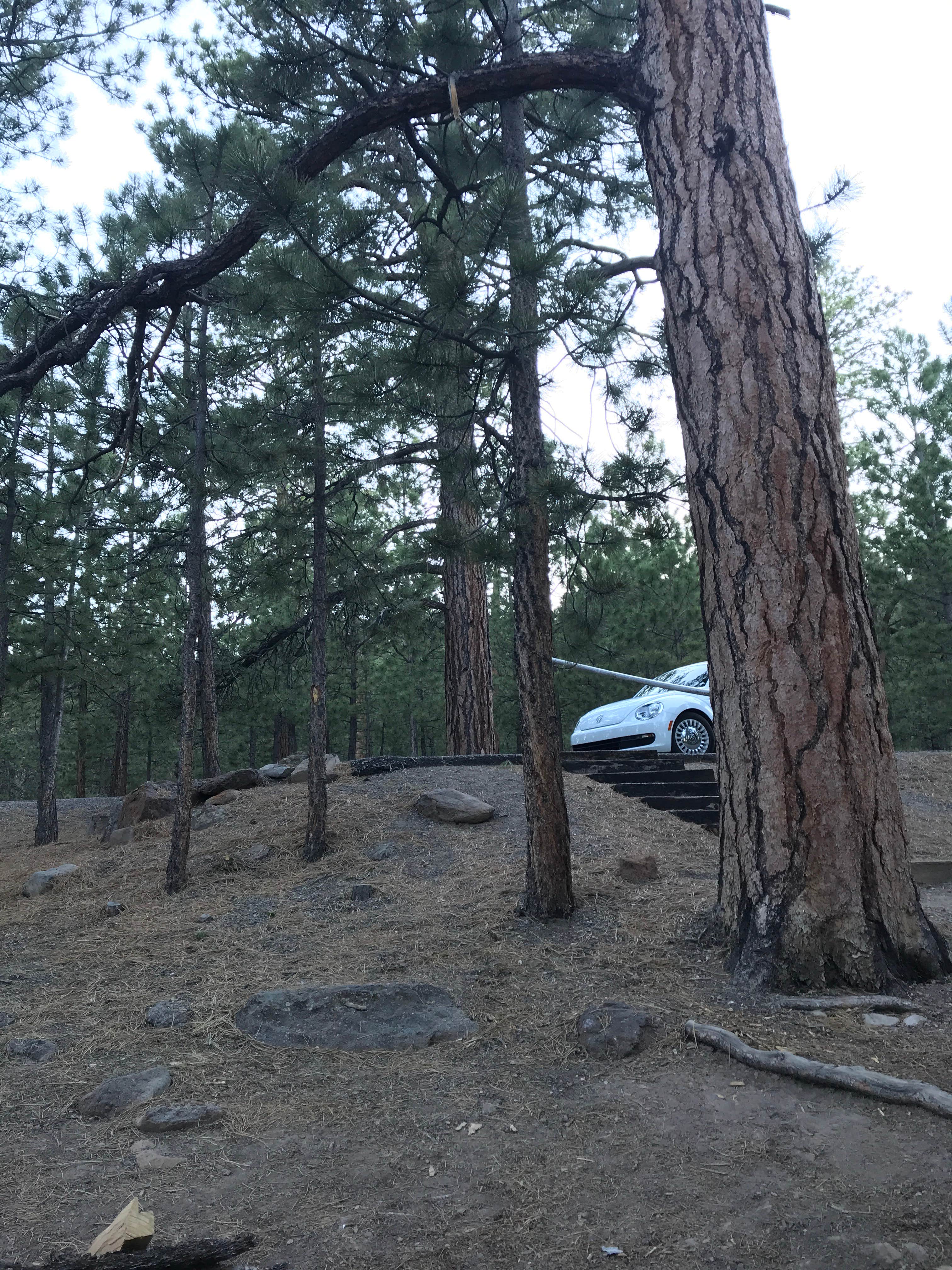 Camper-submitted photo at Lower Pleasant Creek Campground near Hanksville, UT