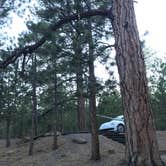 Review photo of Lower Pleasant Creek Campground by Marlin B., June 26, 2018