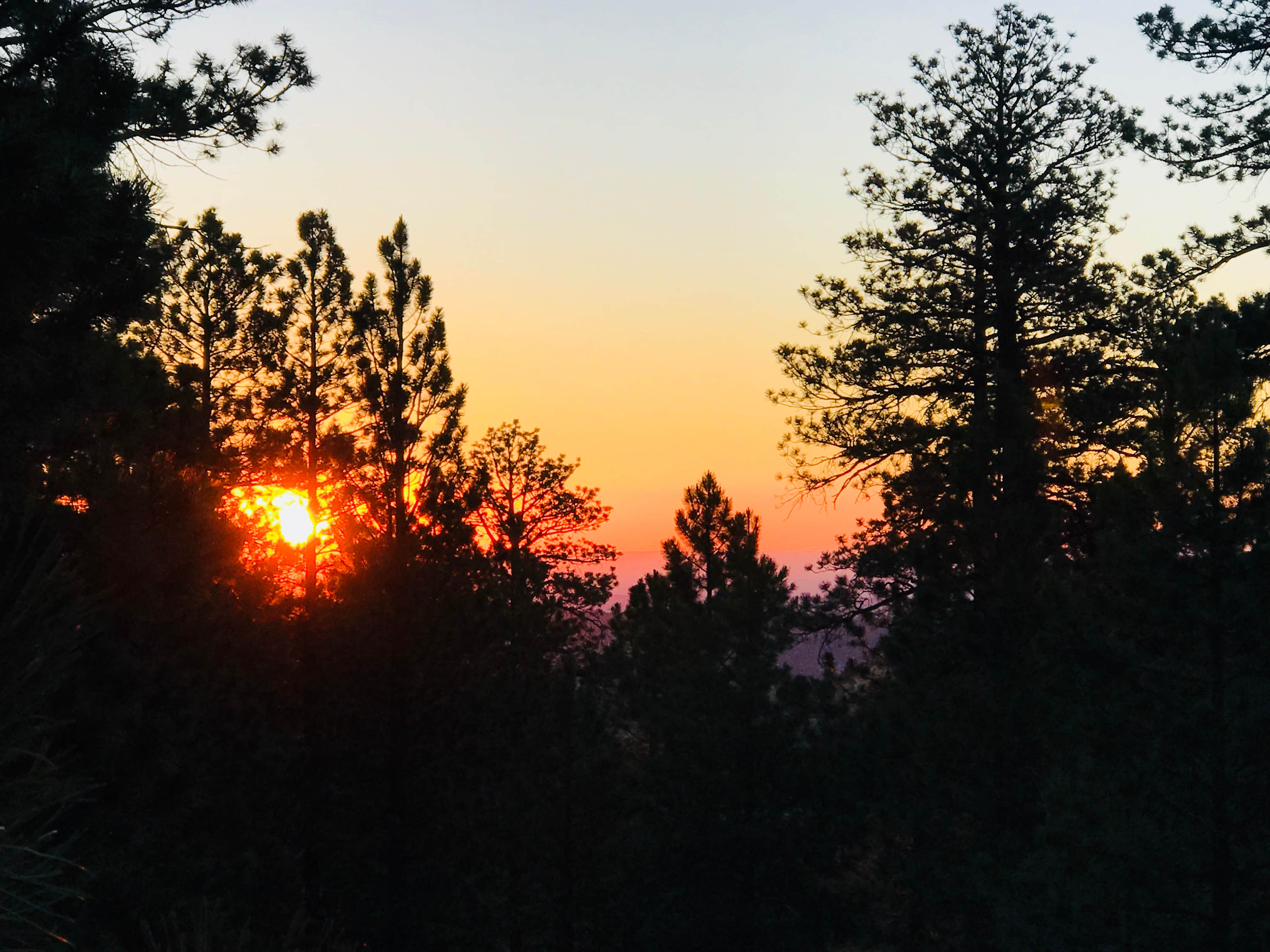 Camper-submitted photo at Lower Pleasant Creek Campground near Hanksville, UT