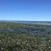 Review photo of Birch Bay State Park Campground by Dani H., June 26, 2018