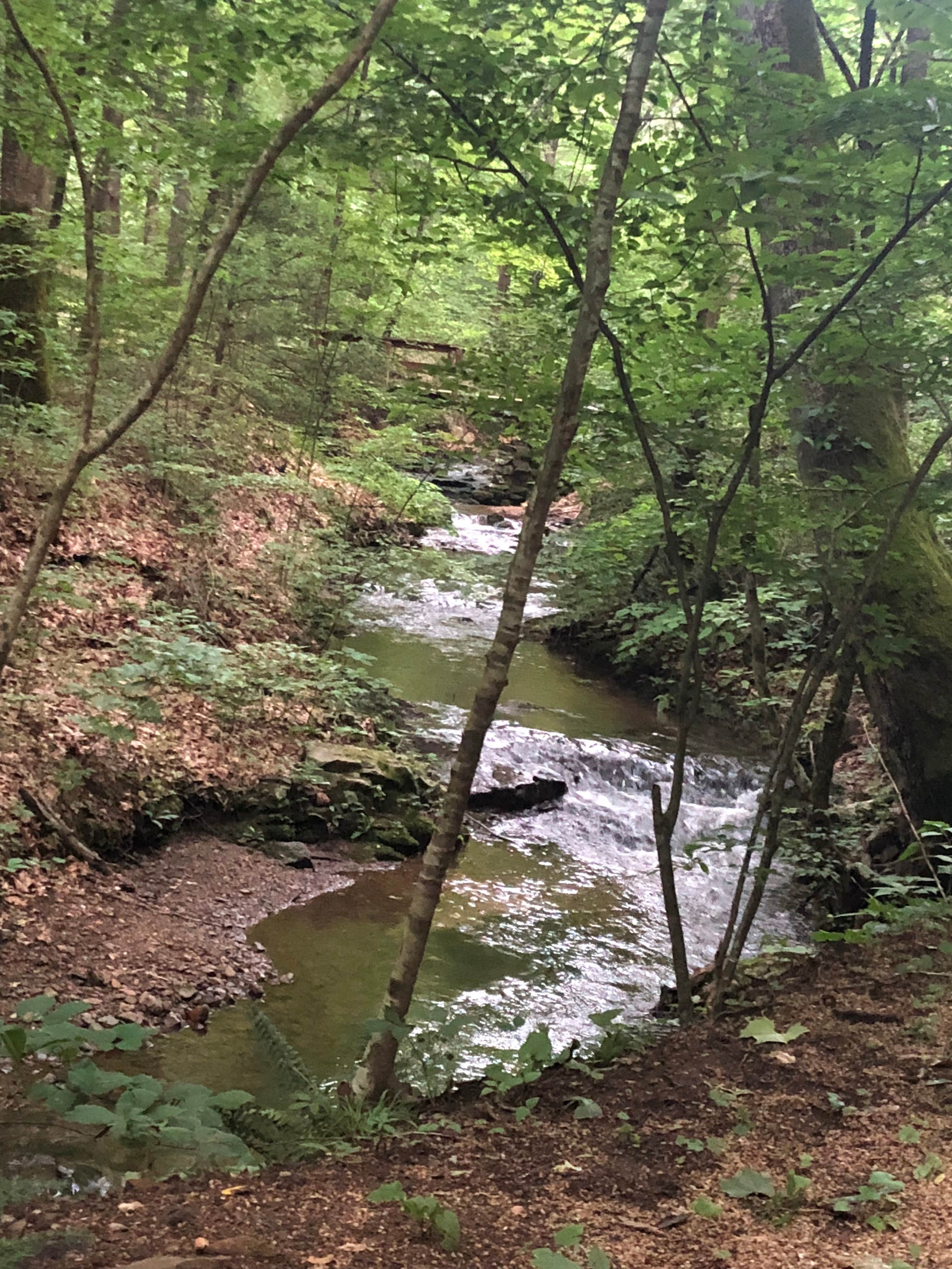 Camper submitted image from Cave Mountain Lake Group Camp — George Washington & Jefferson National Forest - 5