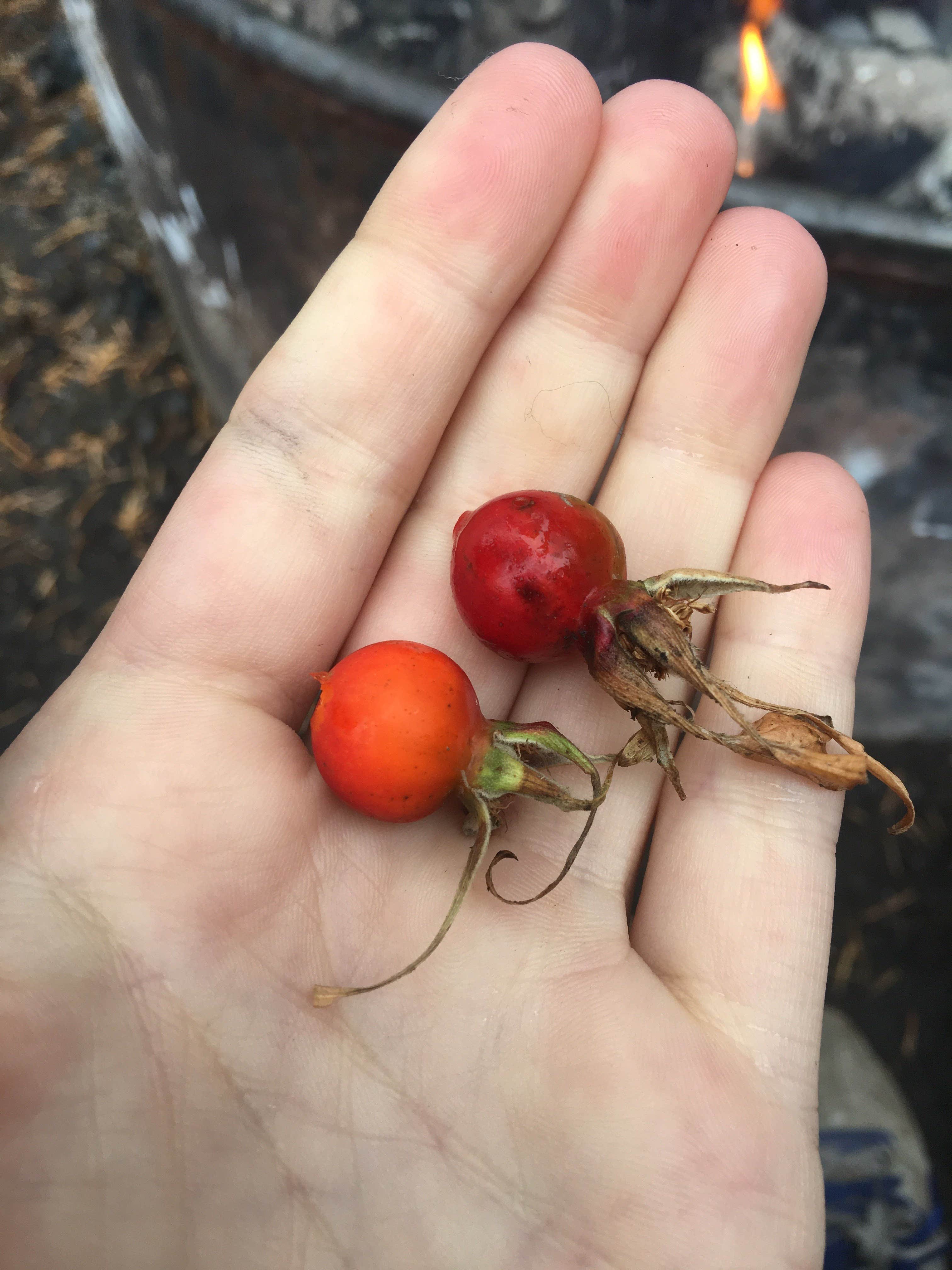 Camper-submitted photo at Ahtanum Meadows Campground near White Swan, WA
