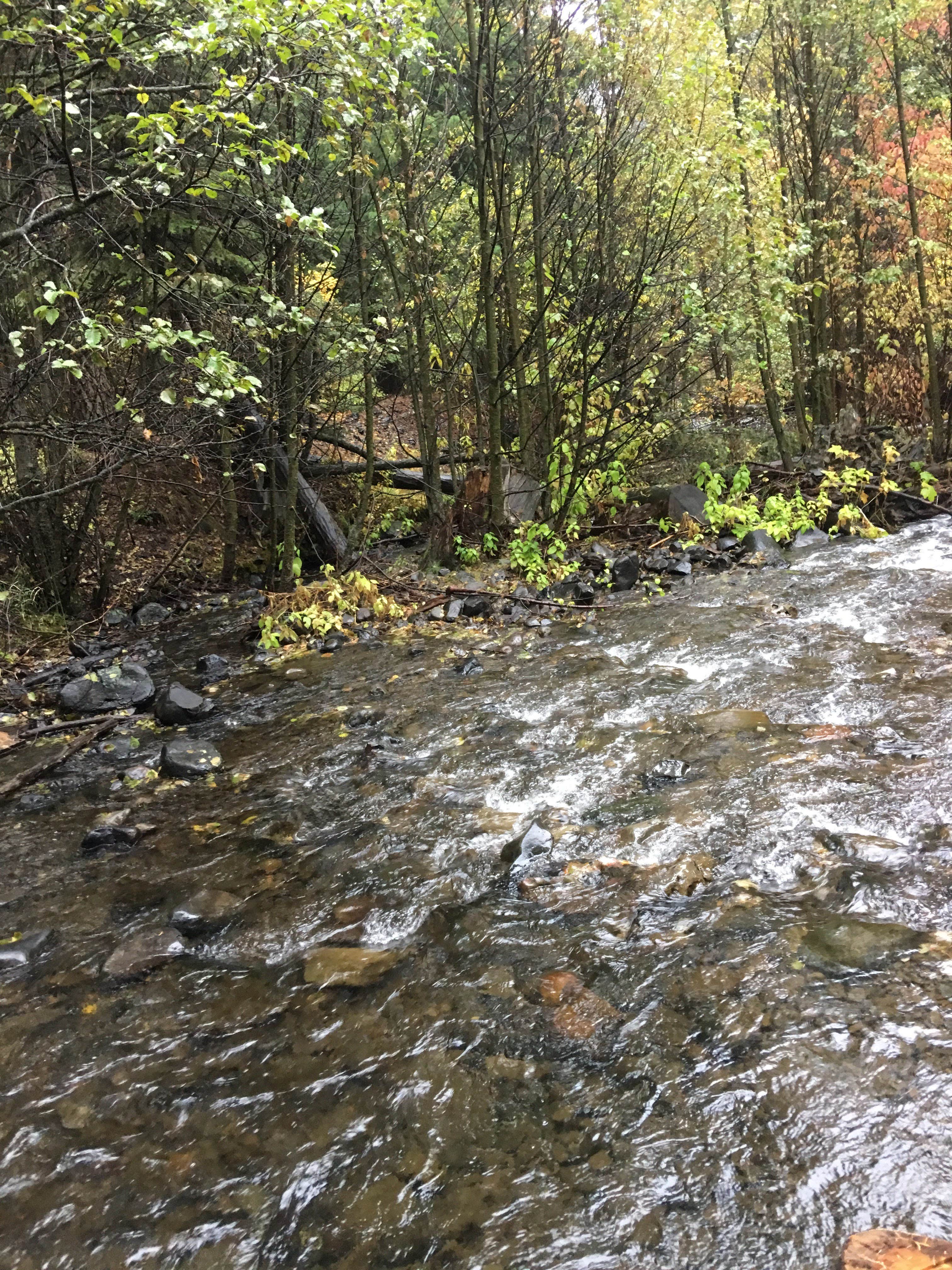 Camper-submitted photo at Ahtanum Meadows Campground near White Swan, WA
