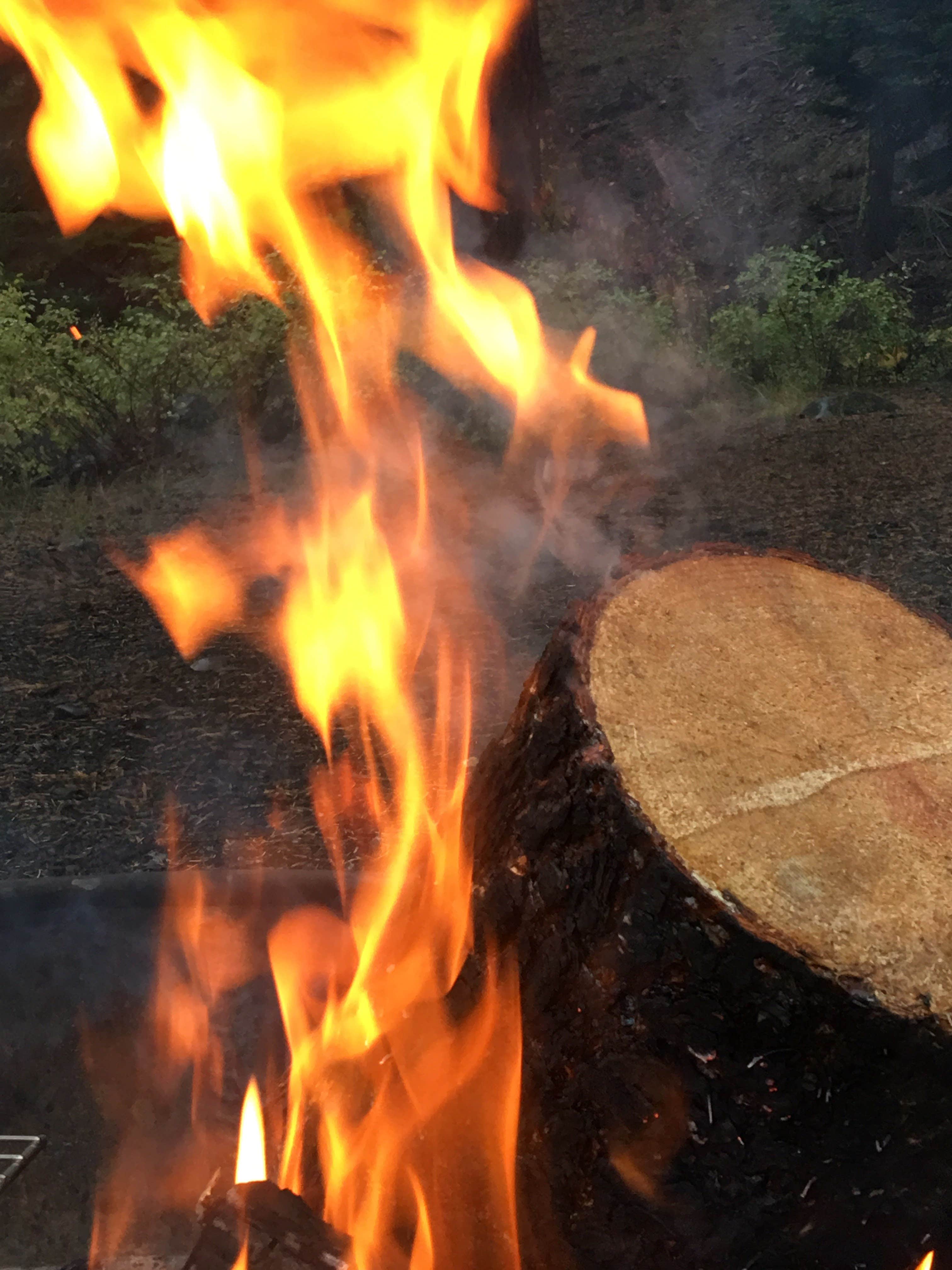 Dani H.'s photo at Ahtanum Meadows Campground near Toppenish, WA