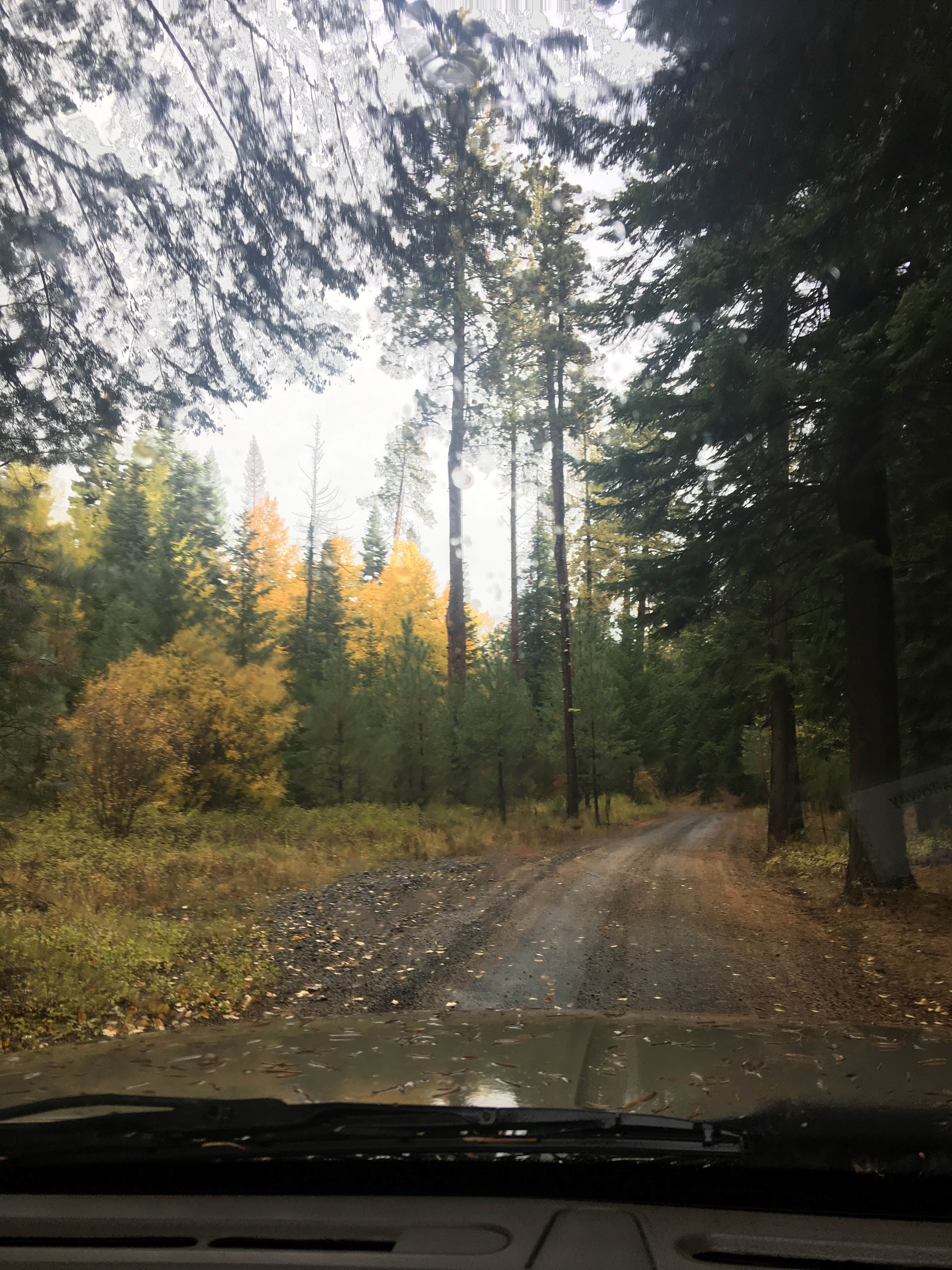 Camping near Willow Barn Ranch: Ahtanum Meadows Campground, Tieton, Washington