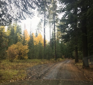 Camper-submitted photo from Ahtanum Meadows Campground