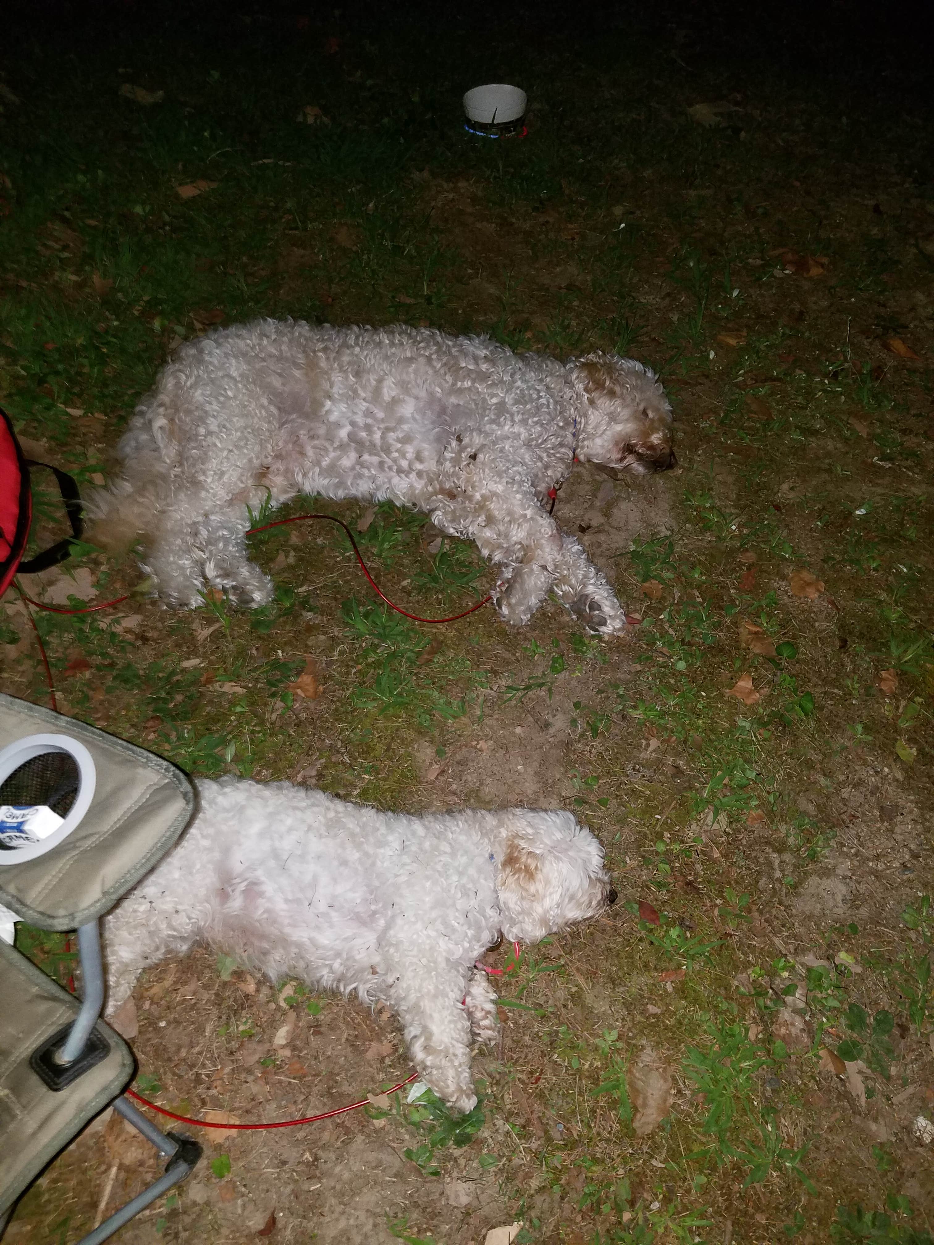 Camping near Deep Creek Campground — Great Smoky Mountains National Park: Hide-a-way, Bryson City, North Carolina