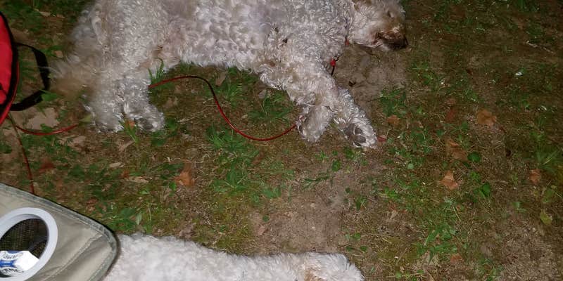 Camper submitted image from Hide-a-way