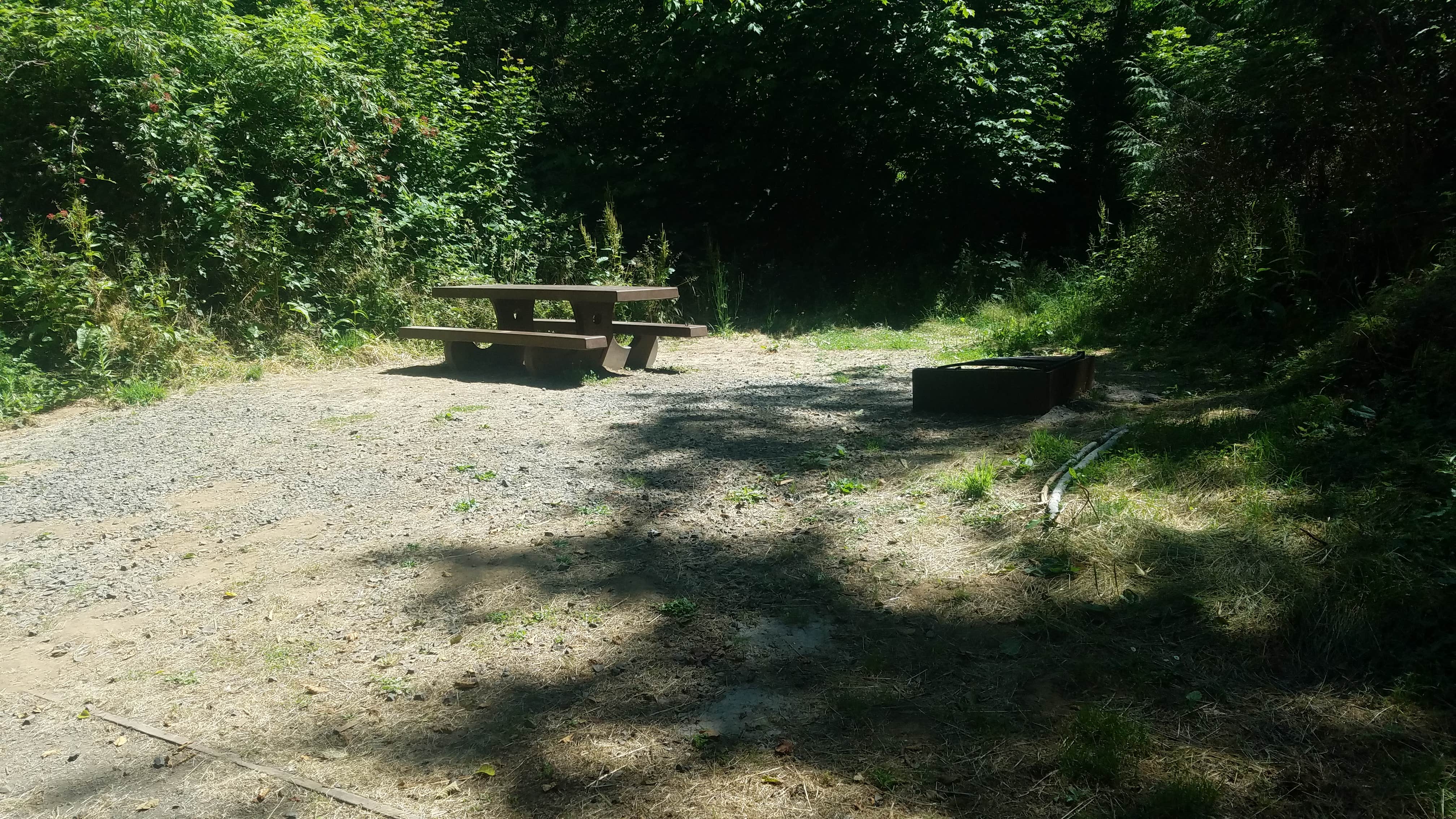 Camper submitted image from Whittaker Creek Recreation Site - 5