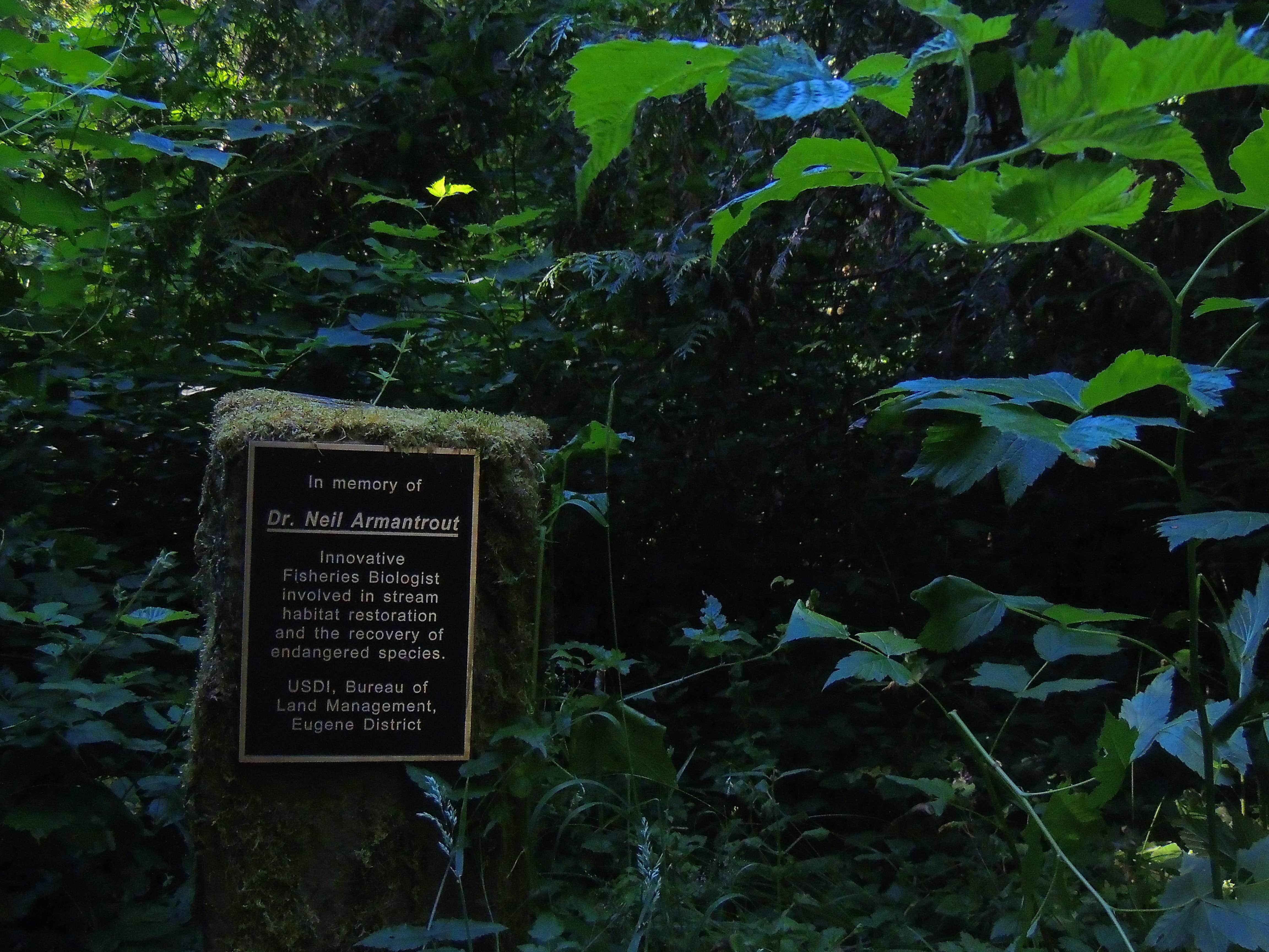Camper submitted image from Whittaker Creek Recreation Site - 4