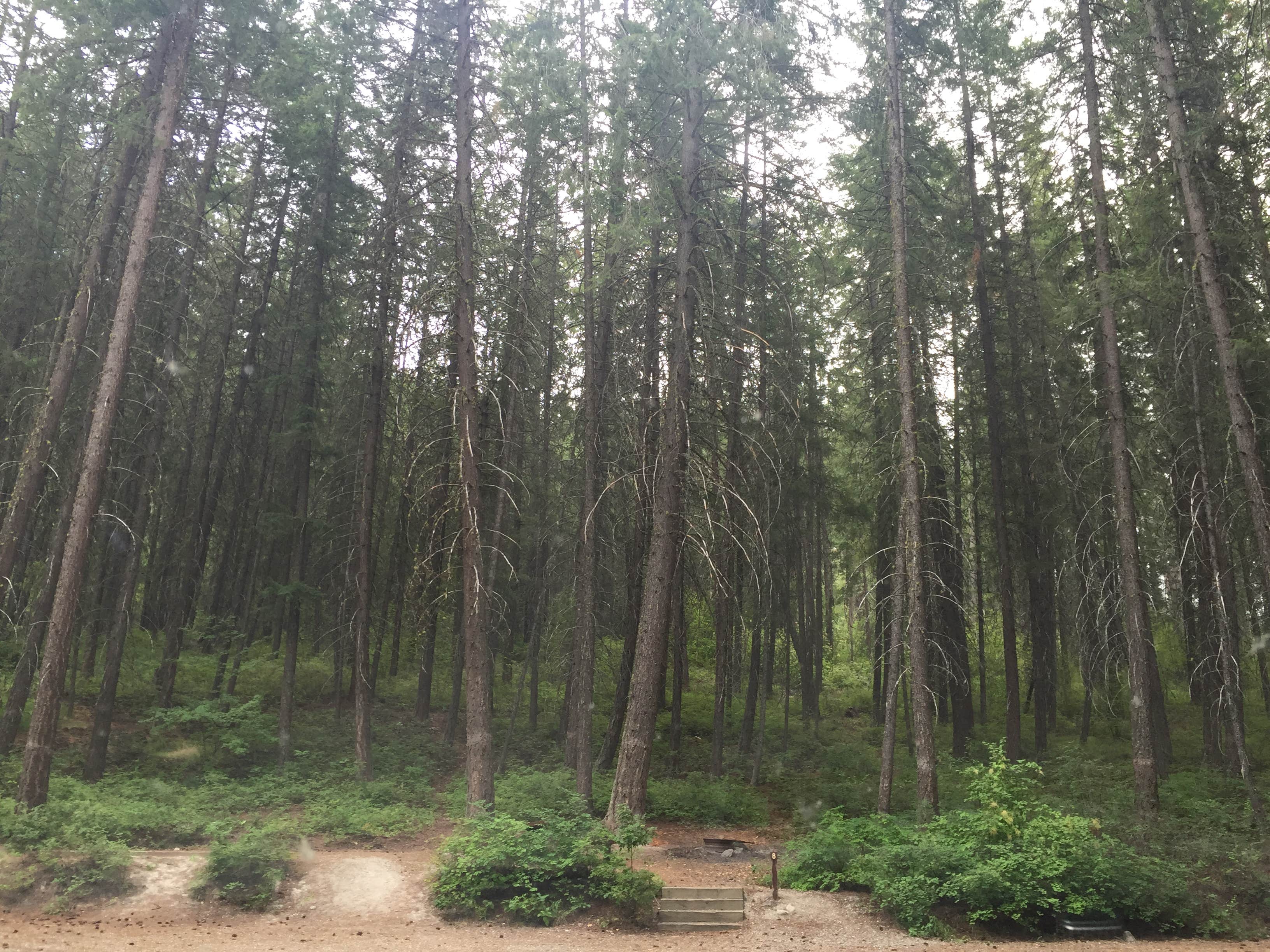 Camper submitted image from Snowberry Bowl Campground - 1