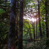 Review photo of Whittaker Creek Recreation Site by Tj B., June 27, 2018