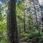 Review photo of Whittaker Creek Recreation Site by Tj B., June 27, 2018