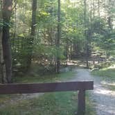 Review photo of White Mountain National Forest Wildwood Campground by Amanda C., June 27, 2018