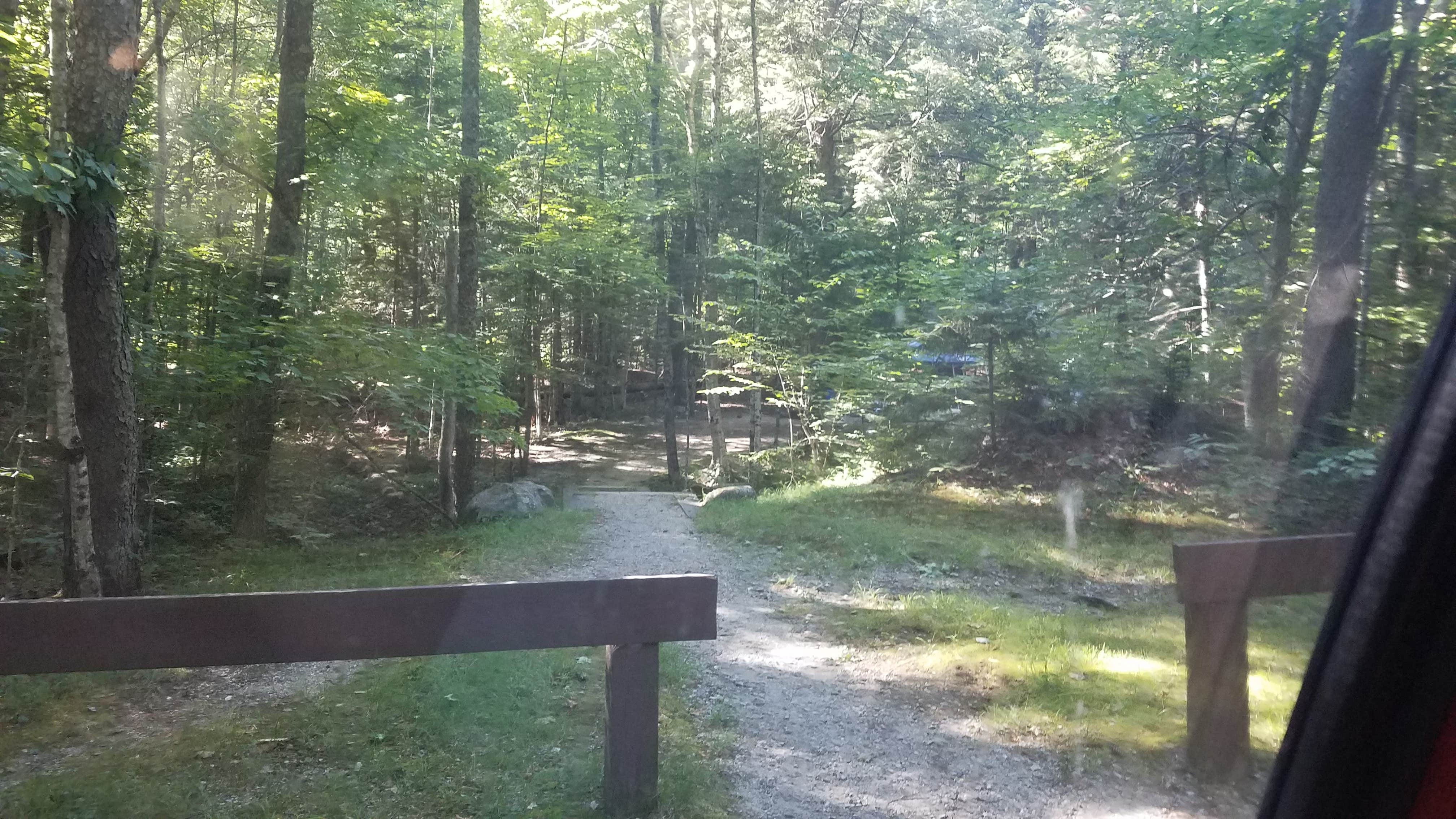 Camper submitted image from White Mountain National Forest Wildwood Campground - 2